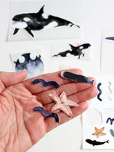 Lade das Bild in den Galerie-Viewer, Bügelbilder Set I Meereswelt