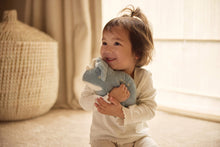 Lade das Bild in den Galerie-Viewer, Kuscheltier I Dino Roarsome
